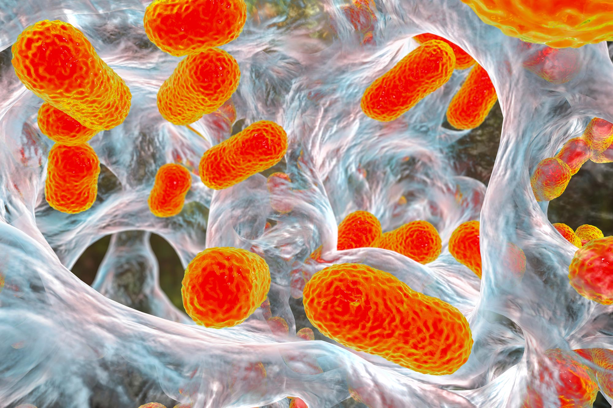 Ten ukryty cukier może pomóc w pokonaniu superbakterii