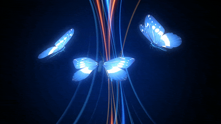 Tajemnica motyla Alfreda Wallace'a została ostatecznie rozwiązana ponad sto lat później