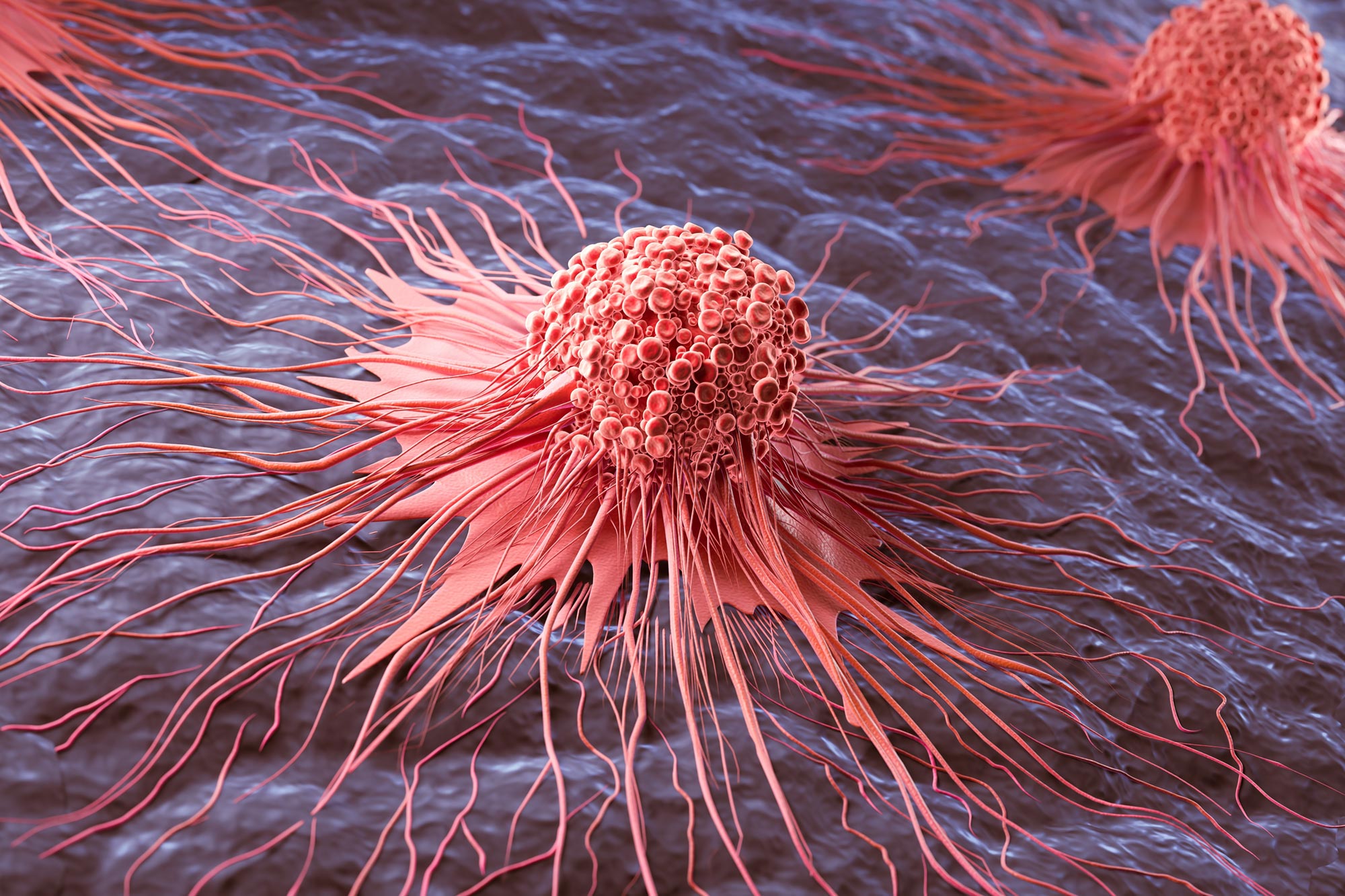 Dlaczego obiecujące leki na raka zawiodły: naukowcy odkrywają brakujący element