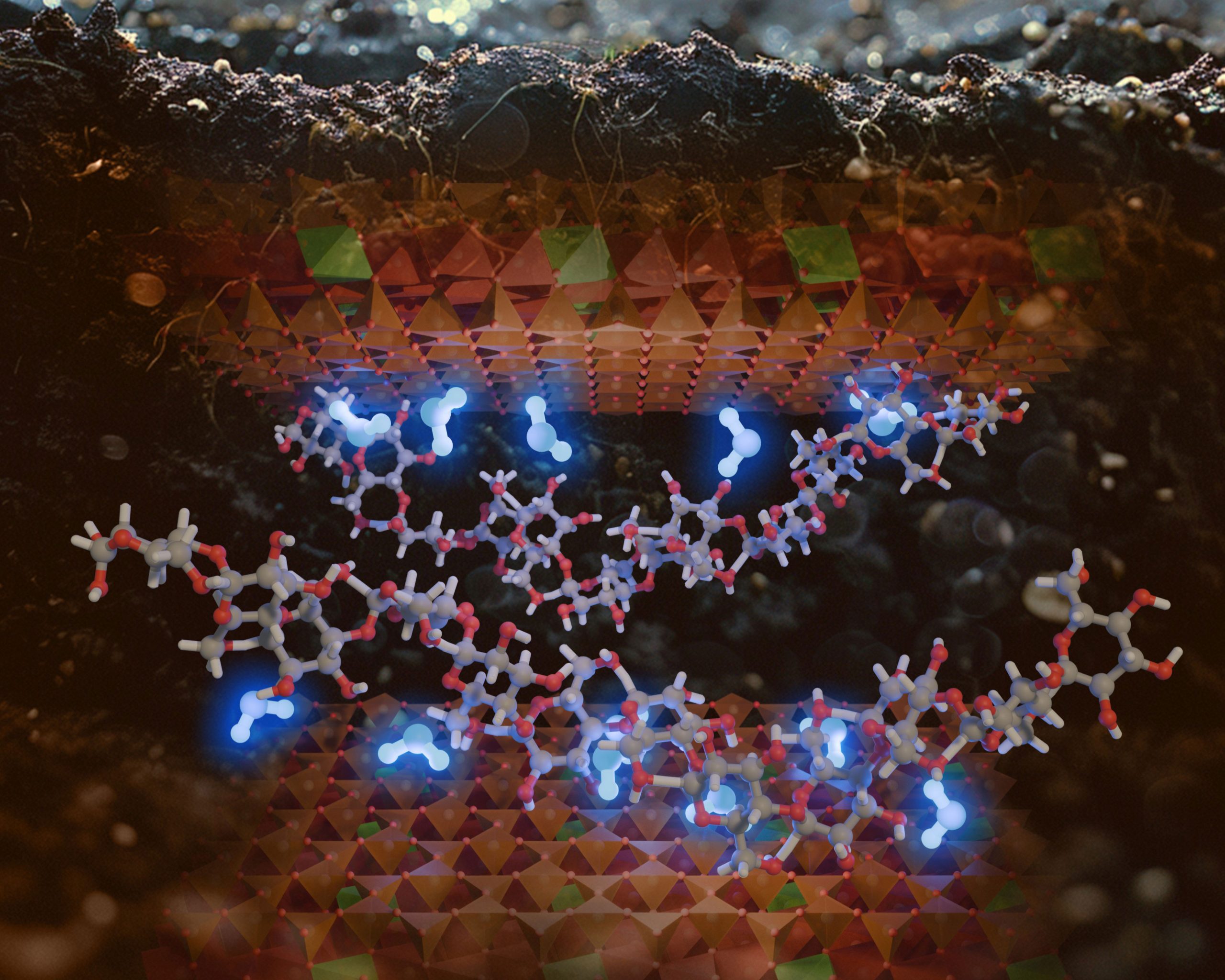 Naukowcy odkrywają sekretny „klej”, który pomaga glebie zatrzymywać wodę