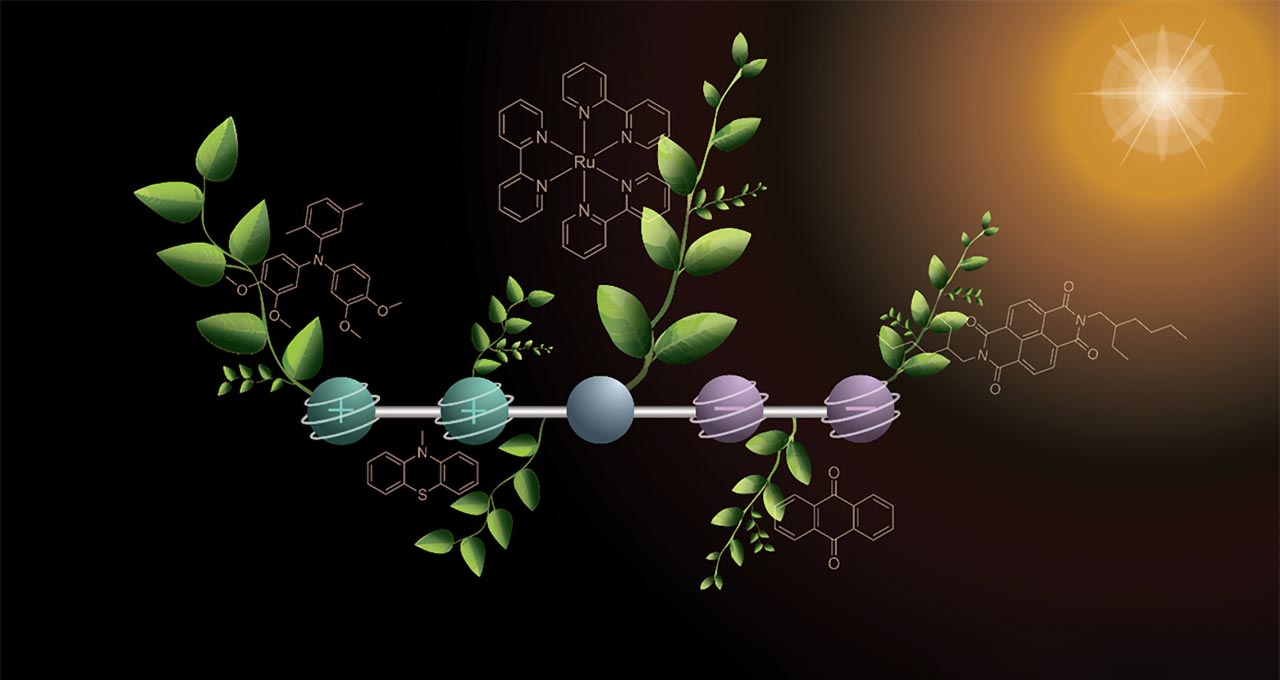 Ta inspirowana rośliną cząsteczka może być kluczem do sztucznej fotosyntezy