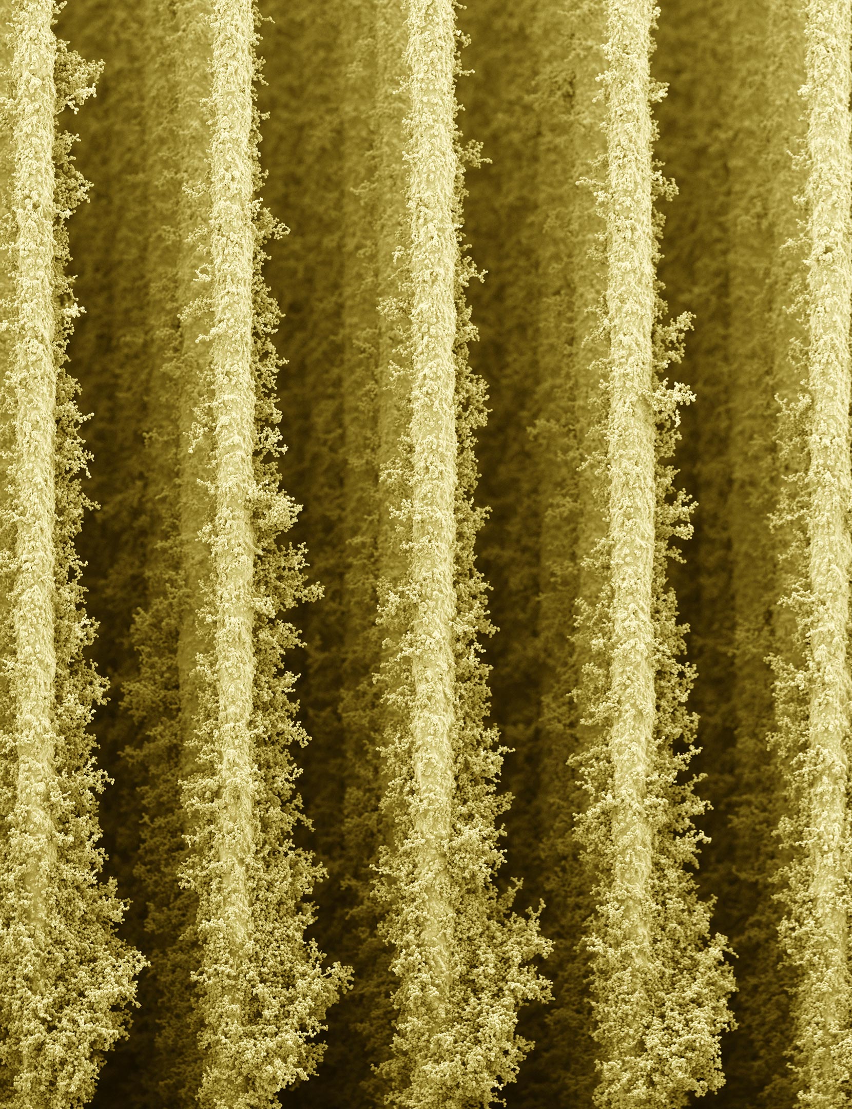 „Nano-skrobiki” zrujnia 3D pomagają bakteriom przekształcić światło słoneczne w energię elektryczną